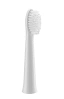 Panasonic WEW0972W503 vervangende borstel WEW0972W503 (2 stuks) voor EW-DM81, vervangende tandenborstelkop, originele accessoires